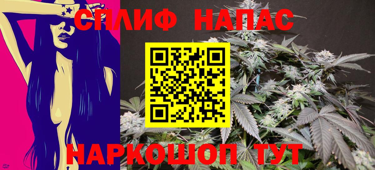 Конопля семена Донской